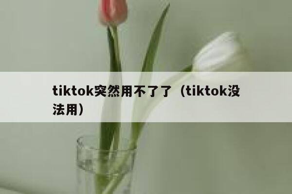 tiktok突然用不了了（tiktok没法用） 第1张