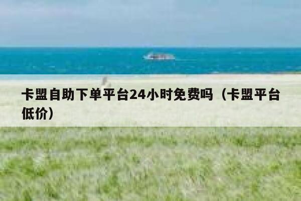 卡盟自助下单平台24小时免费吗（卡盟平台低价） 第1张
