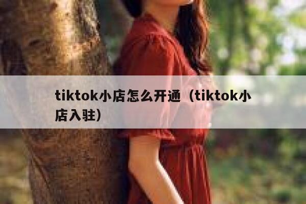 tiktok小店怎么开通（tiktok小店入驻） 第1张