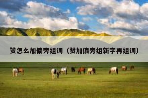 赞怎么加偏旁组词（赞加偏旁组新字再组词） 第1张