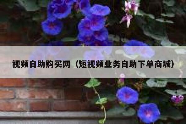 视频自助购买网（短视频业务自助下单商城） 第1张