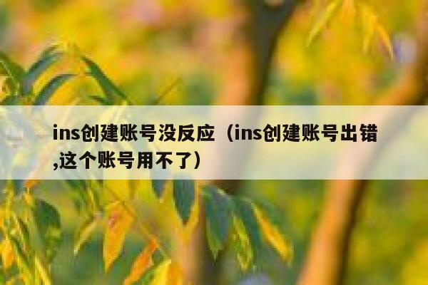 ins创建账号没反应（ins创建账号出错,这个账号用不了） 第1张