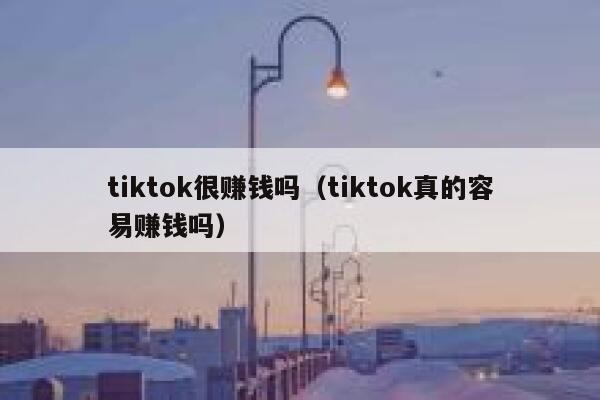 tiktok很赚钱吗（tiktok真的容易赚钱吗） 第1张