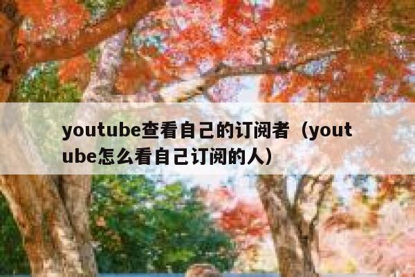 youtube查看自己的订阅者（youtube怎么看自己订阅的人） 第1张