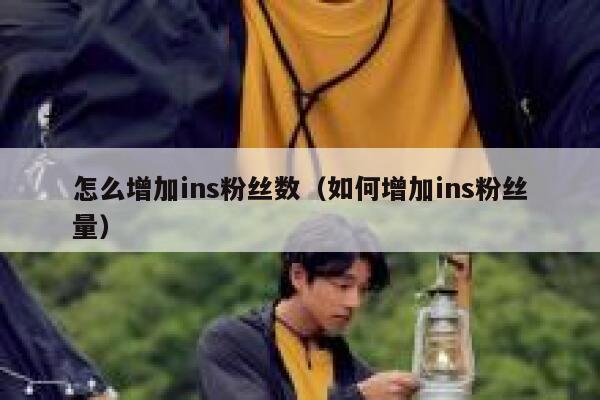 怎么增加ins粉丝数（如何增加ins粉丝量） 第1张