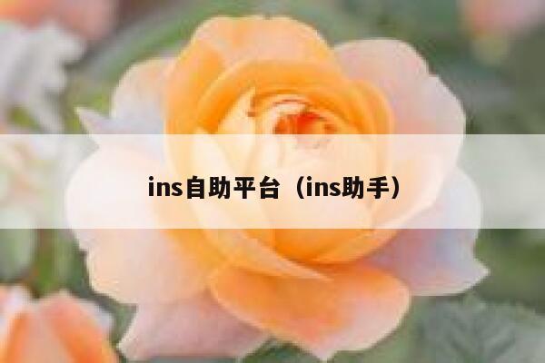 ins自助平台（ins助手） 第1张