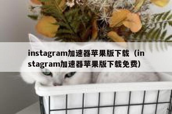 instagram加速器苹果版下载（instagram加速器苹果版下载免费） 第1张