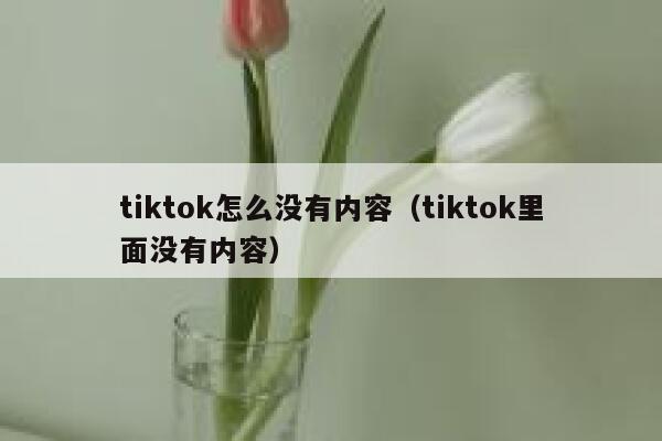 tiktok怎么没有内容(tiktok里面没有内容) 第1张 tiktok怎么没有内容(tiktok里面没有内容) 第1张
