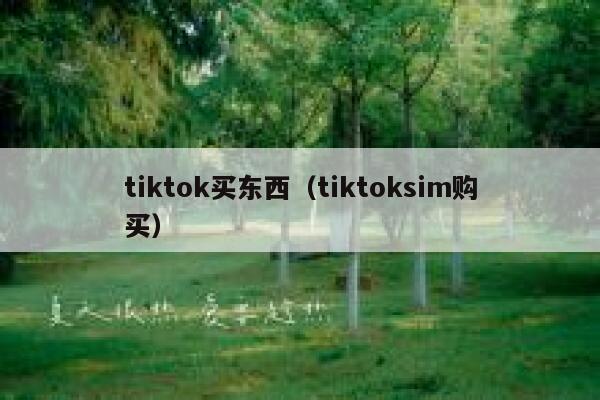 tiktok买东西（tiktoksim购买） 第1张