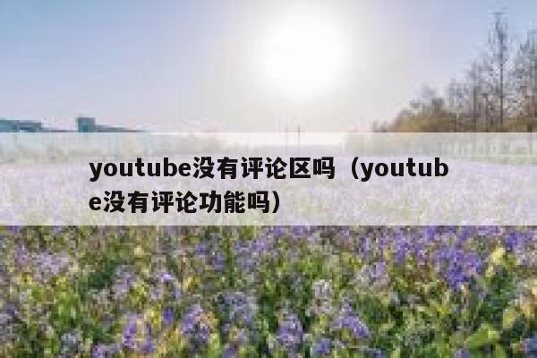 youtube没有评论区吗(youtube没有评论功能吗) 第1张 youtube没有评论区吗(youtube没有评论功能吗) 第1张