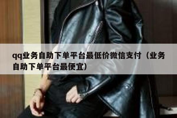 qq业务自助下单平台最低价微信支付（业务自助下单平台最便宜） 第1张