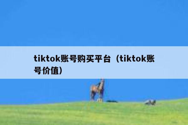 tiktok账号购买平台（tiktok账号价值） 第1张