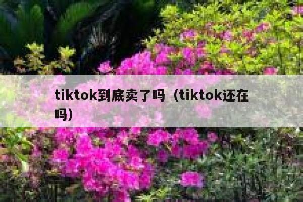 tiktok到底卖了吗（tiktok还在吗） 第1张