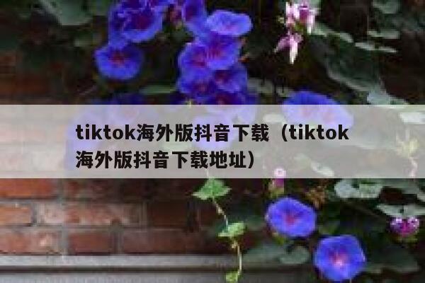 tiktok海外版抖音下载（tiktok海外版抖音下载地址） 第1张