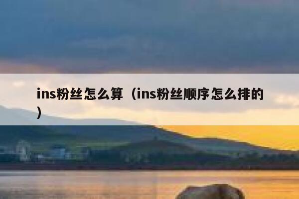 ins粉丝怎么算（ins粉丝顺序怎么排的） 第1张