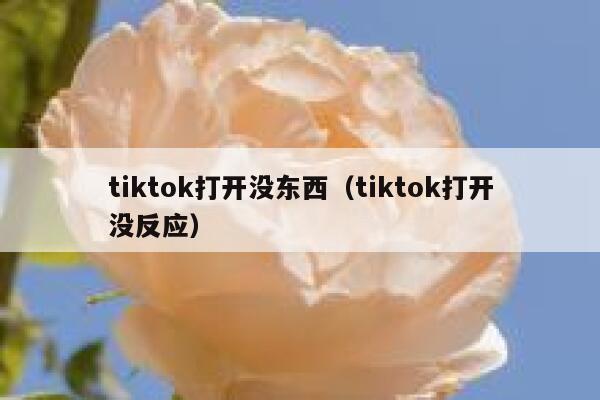 tiktok打开没东西（tiktok打开没反应） 第1张