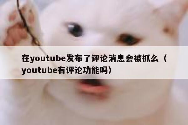 在youtube发布了评论消息会被抓么（youtube有评论功能吗） 第1张