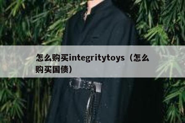 怎么购买integritytoys（怎么购买国债） 第1张