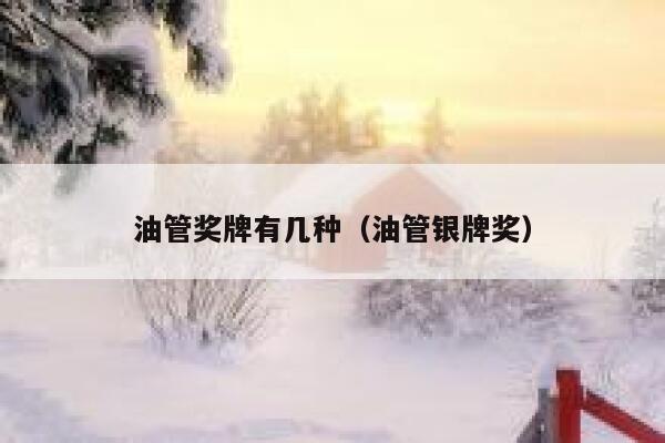 油管奖牌有几种（油管银牌奖） 第1张