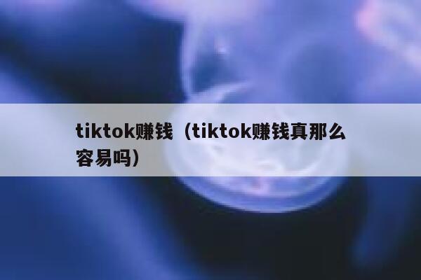 tiktok赚钱（tiktok赚钱真那么容易吗） 第1张