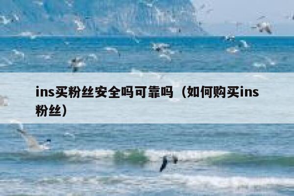 ins买粉丝安全吗可靠吗（如何购买ins粉丝） 第1张