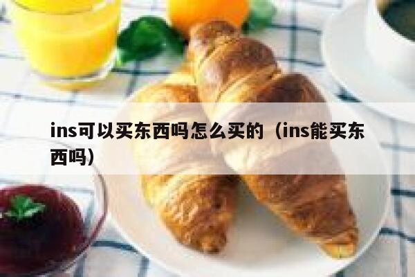 ins可以买东西吗怎么买的（ins能买东西吗） 第1张