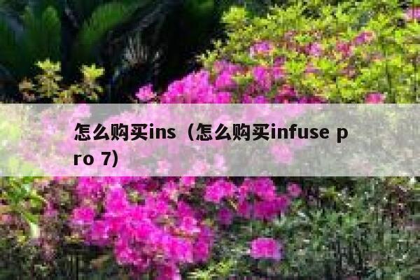 怎么购买ins（怎么购买infuse pro 7） 第1张