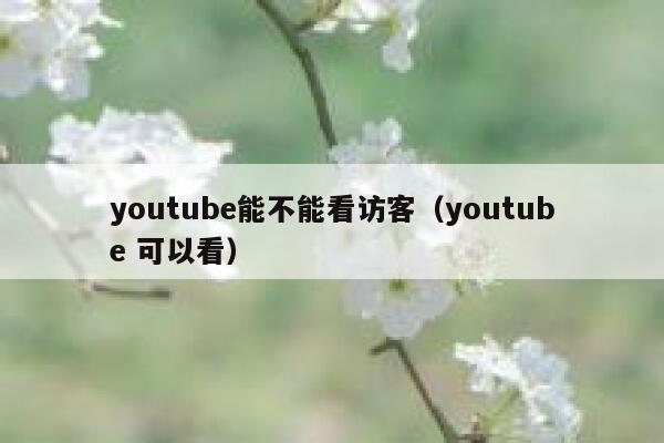 youtube能不能看访客(youtube 可以看) 第1张 youtube能不能看访客(youtube 可以看) 第1张