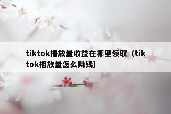 tiktok播放量收益在哪里领取(tiktok播放量怎么赚钱) 第1张 tiktok播放量收益在哪里领取(tiktok播放量怎么赚钱) 第1张