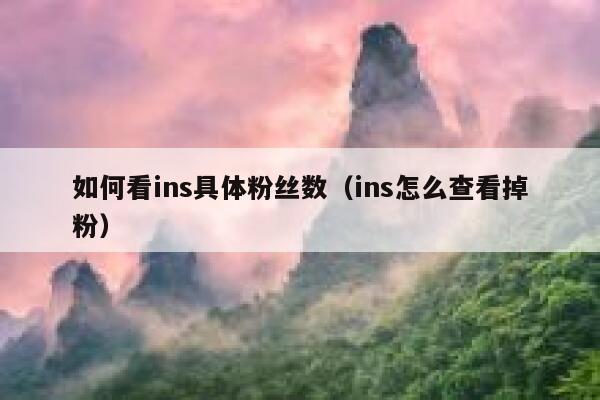 如何看ins具体粉丝数（ins怎么查看掉粉） 第1张