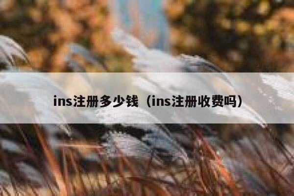 ins注册多少钱（ins注册收费吗） 第1张