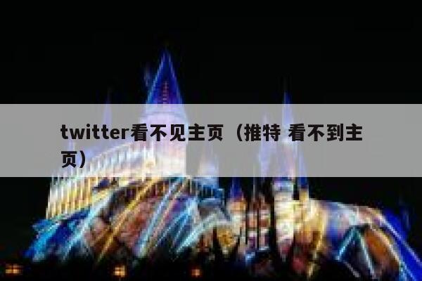 twitter看不见主页(推特 看不到主页) 第1张 twitter看不见主页(推特 看不到主页) 第1张