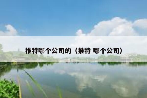 推特哪个公司的（推特 哪个公司） 第1张