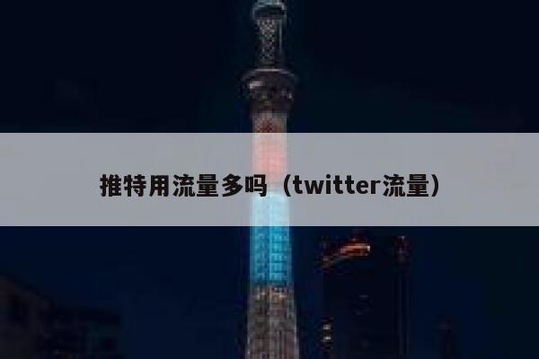 推特用流量多吗（twitter流量） 第1张