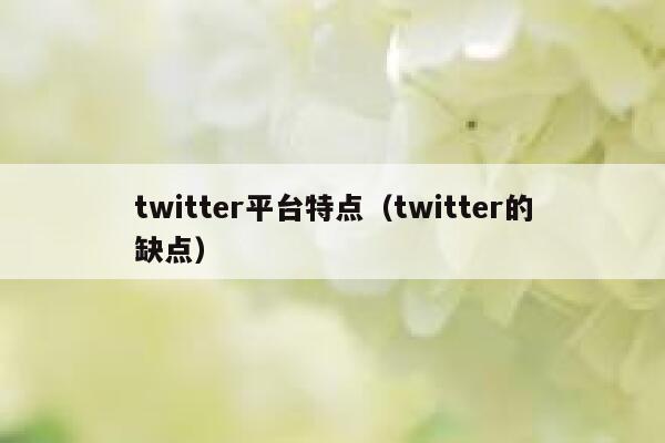 twitter平台特点（twitter的缺点） 第1张