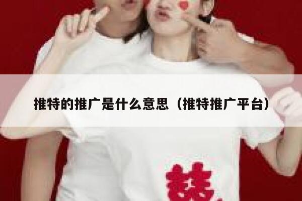 推特的推广是什么意思（推特推广平台） 第1张
