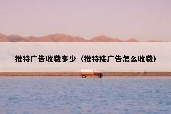 推特广告收费多少（推特接广告怎么收费） 第1张