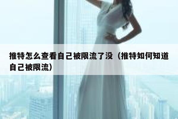 推特怎么查看自己被限流了没（推特如何知道自己被限流） 第1张