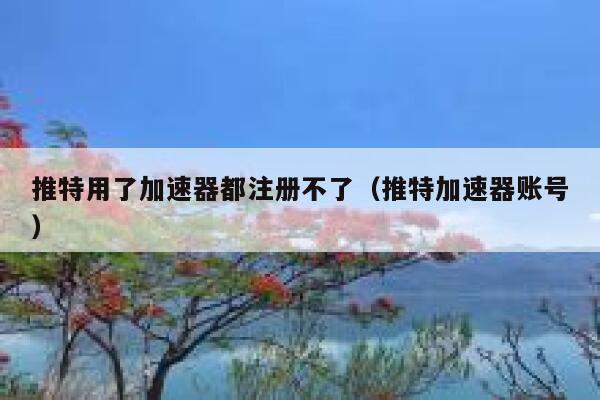 推特用了加速器都注册不了（推特加速器账号） 第1张