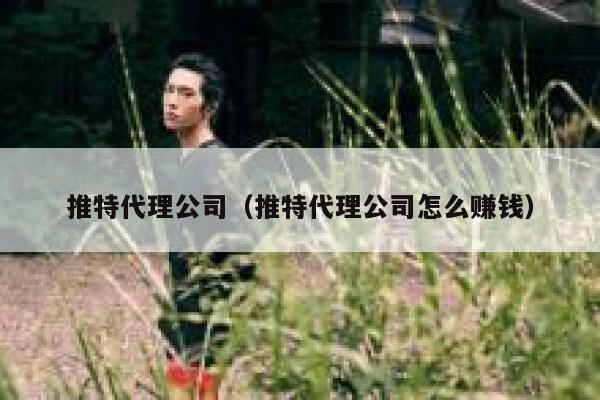 推特代理公司（推特代理公司怎么赚钱） 第1张