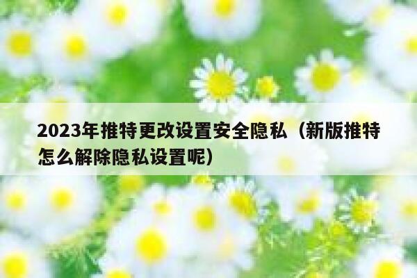 2023年推特更改设置安全隐私（新版推特怎么解除隐私设置呢） 第1张