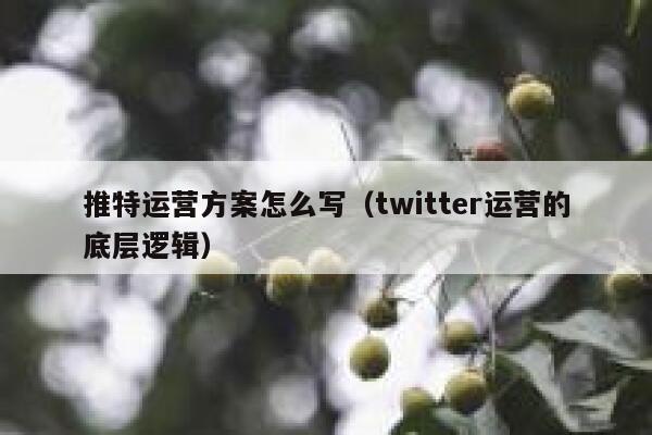 推特运营方案怎么写(twitter运营的底层逻辑) 第1张 推特运营方案怎么写(twitter运营的底层逻辑) 第1张