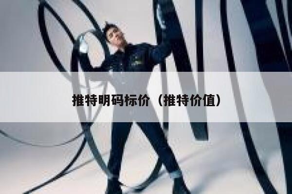 推特明码标价（推特价值） 第1张