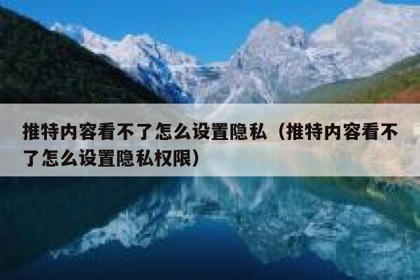 推特内容看不了怎么设置隐私（推特内容看不了怎么设置隐私权限） 第1张
