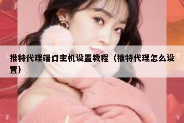 推特代理端口主机设置教程（推特代理怎么设置） 第1张
