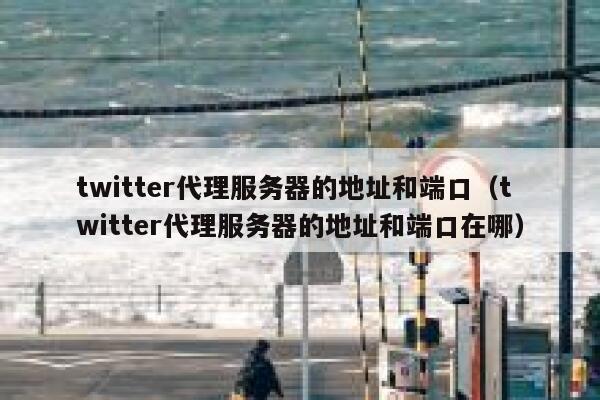 twitter代理服务器的地址和端口（twitter代理服务器的地址和端口在哪） 第1张