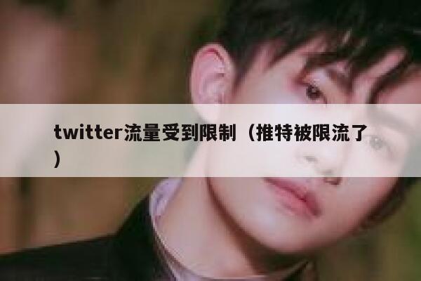 twitter流量受到限制(推特被限流了) 第1张 twitter流量受到限制(推特被限流了) 第1张