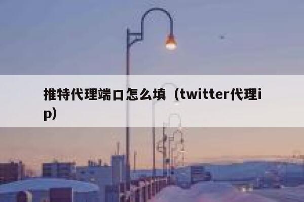 推特代理端口怎么填（twitter代理ip） 第1张