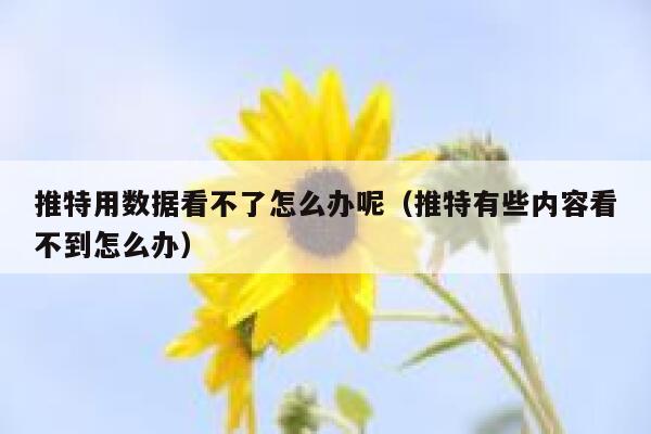 推特用数据看不了怎么办呢（推特有些内容看不到怎么办） 第1张