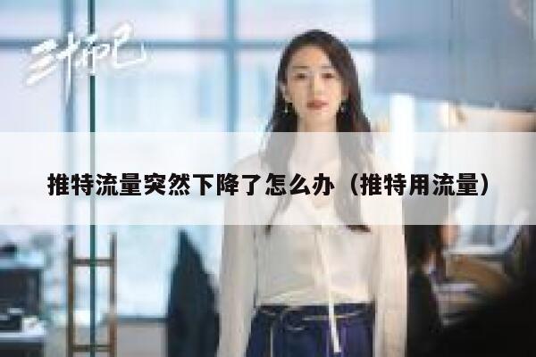 推特流量突然下降了怎么办（推特用流量） 第1张